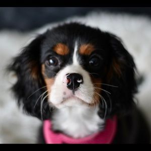 Meet your Posher, Becca